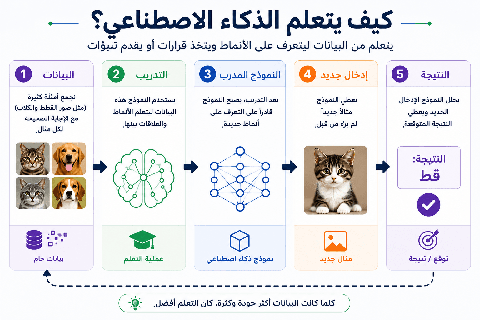 شرح كيف يتعلم الذكاء الاصطناعي من البيانات والتدريب حتى الوصول إلى النتيجة