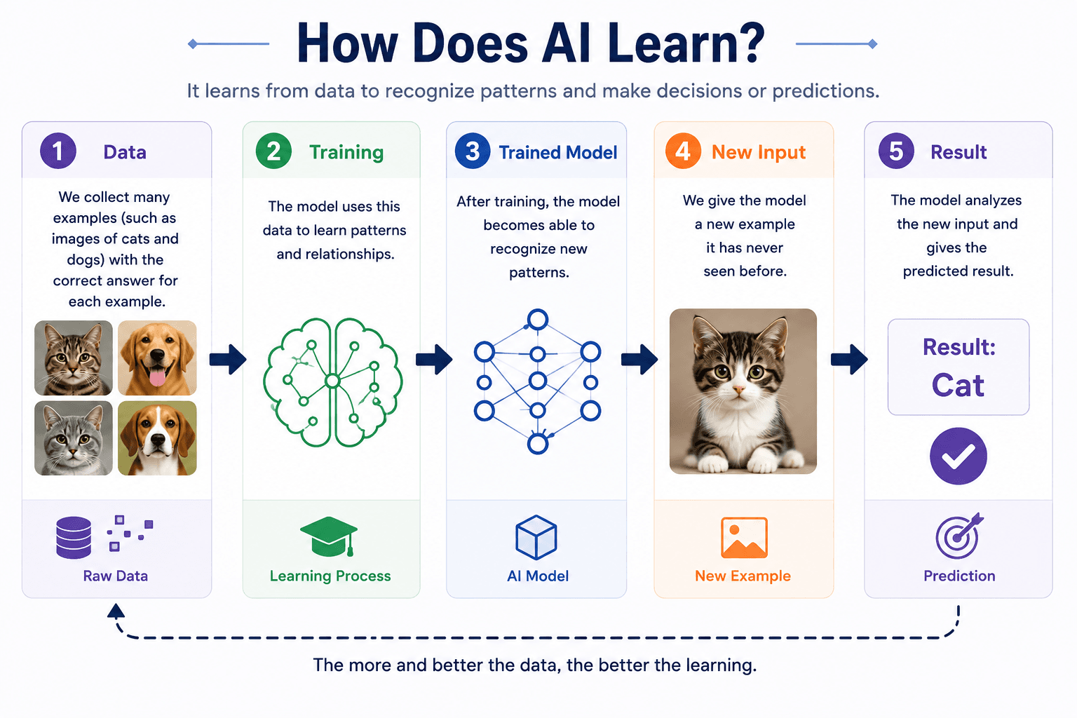 How AI learns from data through training, a trained model, new input and prediction